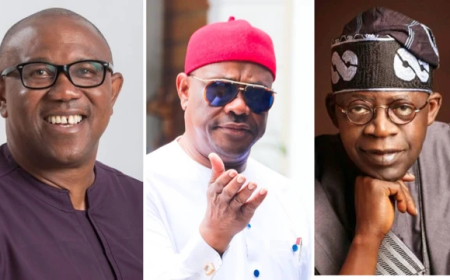 The Day Tinubu and Wike Betrayed Nigeria—What’s Next for Our Rights?